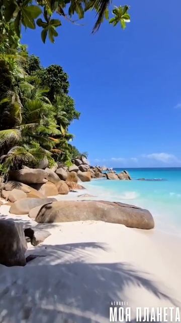 Констанс Лемурия, Сейшелы.🌿 Моя Планета смотреть онлайн