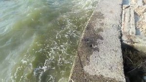 Рыбалка на бычка, в Бердянске.