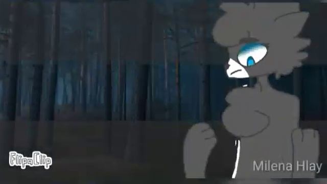 Моя кошка meme [GIFT for Киска нами] смотреть онлайн