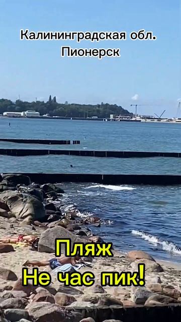 7 августа 2024 #пляж #Пионерск #Пионерский #Калининград #Область #Балтика #море #город #народ #люди смотреть онлайн