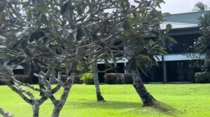 Отдых на островах. ФИДЖИ.#путешествия #австралия #фиджи #