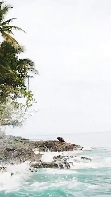 Шиоргао или Сиаргао (Siargao) - пляжи, серфинг, природные бассейны. #филиппины #siorgao #philippine смотреть онлайн