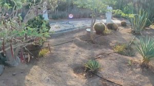 Reef Oasis Blue Bay resort&spa 5* обзор территории часть 3