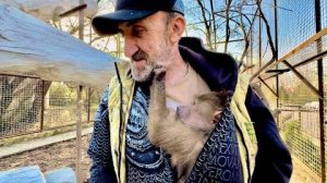 Люся ПРЯЧЕТСЯ от меня у Влада и просит забрать ее домой, ОЧЕНЬ ПРОСИТ)))