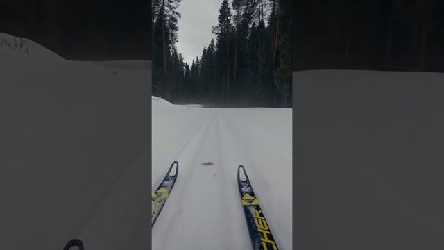 Перекоп у тумане. *smart смотреть онлайн