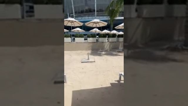 The beach of the Hotel Conrad Abu Dhabi Etihad Towers #hotel #отель #beach #пляж смотреть онлайн