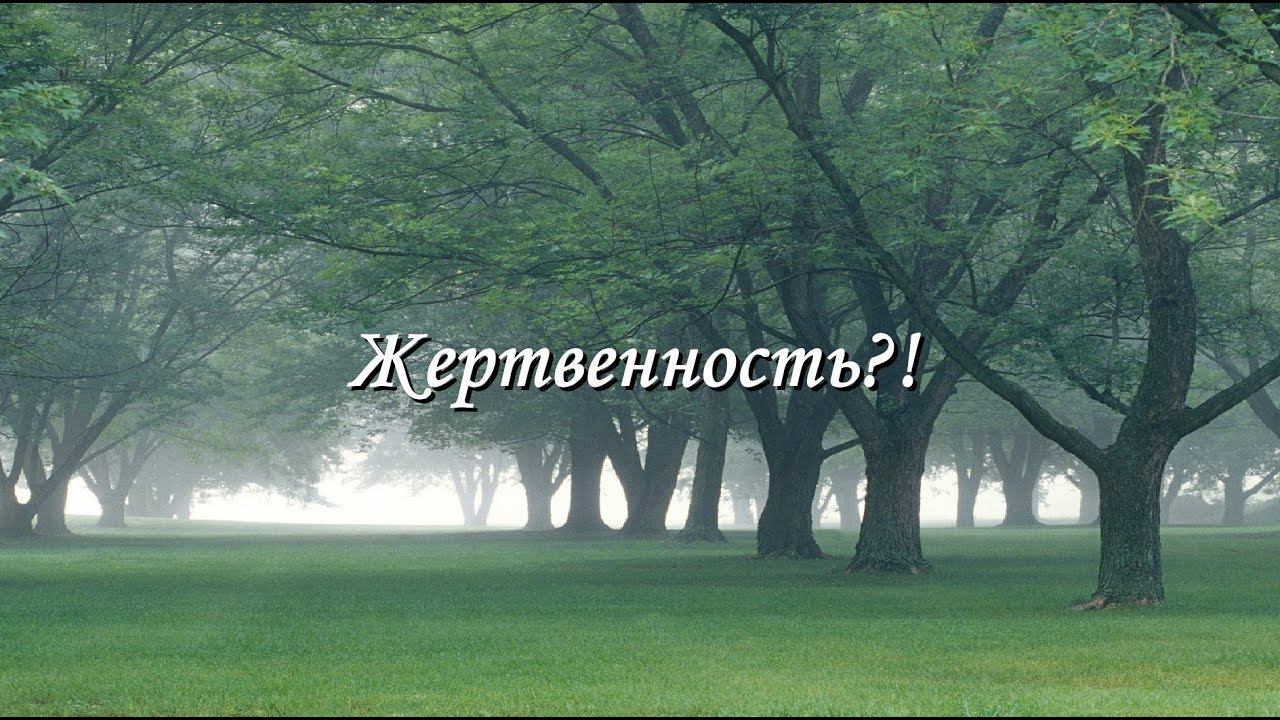 Жертвенность