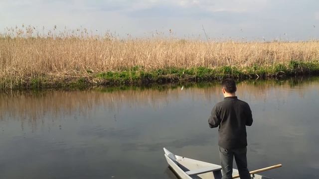 На пищаному смотреть онлайн