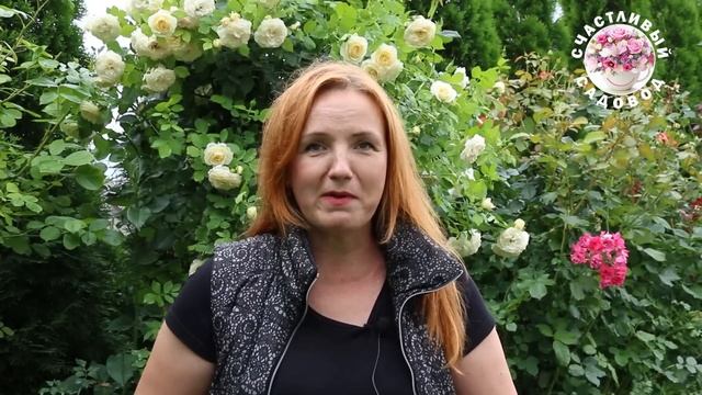 ОПАСНАЯ БОЛЕЗНЬ РОЗ - РЖАВЧИНА: УНИЧТОЖИТ ВАШ САД! ПРОФИЛАКТИКА И ЛЕЧЕНИЕ РЖАВЧИНЫ. БОЛЕЗНИ РОЗ.