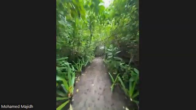 JA MANAFARU | ПРЯМОЙ ЭФИР C ОСТРОВА смотреть онлайн