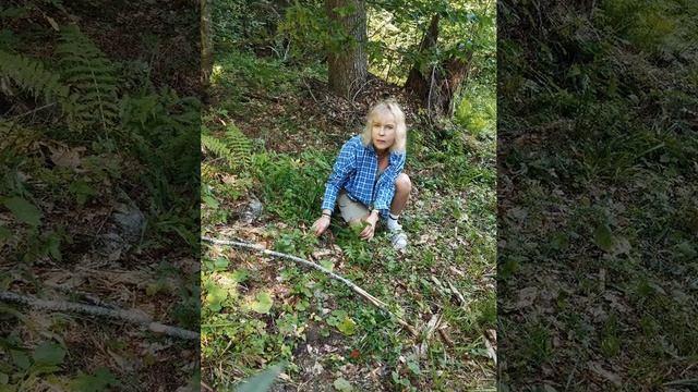 Путешествие на Архыз. 2024 смотреть онлайн