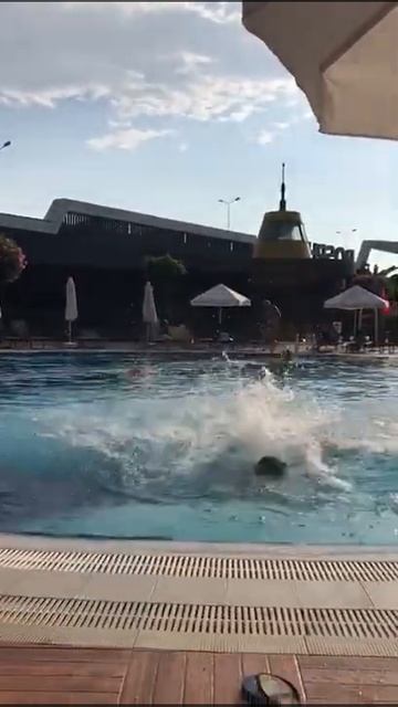 Красавчик! Первое сальто в жизни! #bosphorussorgun, #BosphorusSorgunHotel, #отдыхвтурции, #shorts, смотреть онлайн