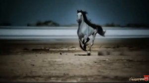 Chris Rea   And You My Love  Романтичный