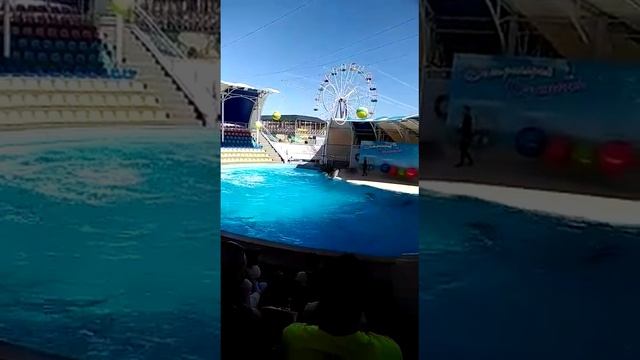 Крым.Коктебель.
