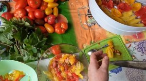 Делаю заготовки. Куда деть столько помидор?