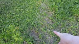 Переехали на Юг/Косим траву/Праздничный шашлык.