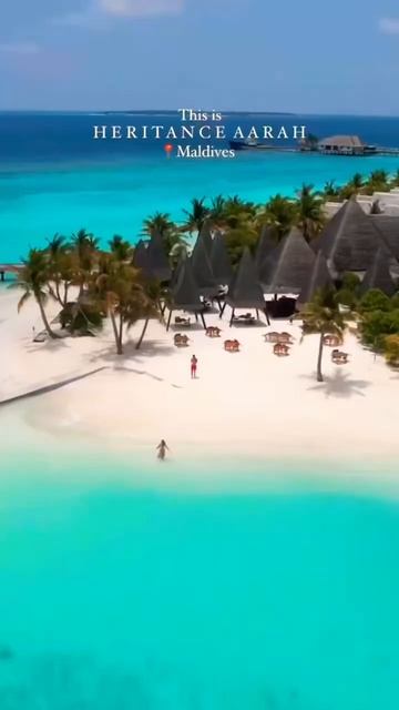 Yeahhh this is maldives🇲🇻❤️ #maldives #мальдивы #лето #кудаможносходитьзимой смотреть онлайн