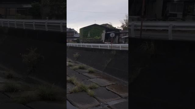 Утренняя прогулка по городку Клифсайд Харбор перед поездкой на пароме. Шодошима, Япония. 4К