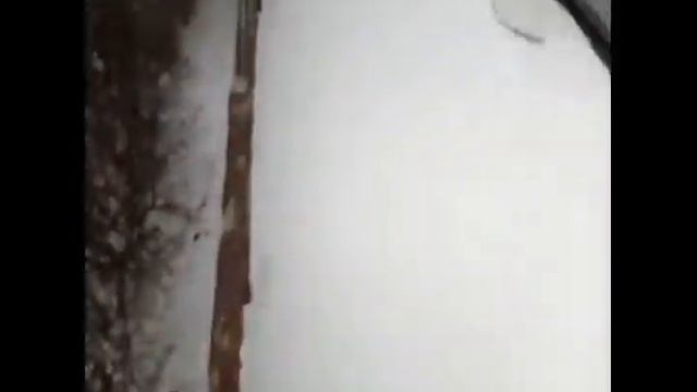 ШКОЛЬНИЙ ВЛОГ смотреть онлайн