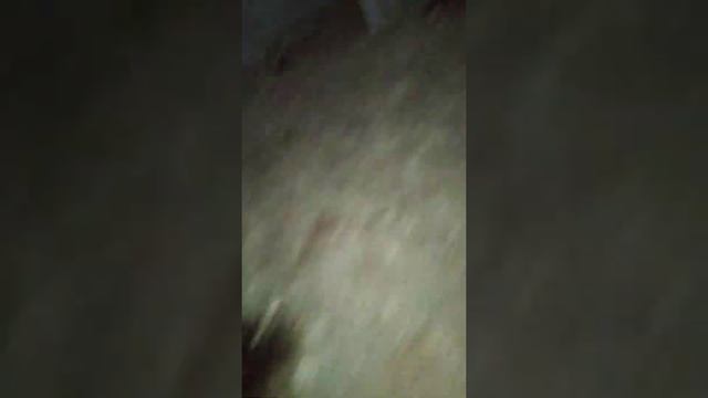 Заброшенная столовая ЕлектронМаша.  Часть 1.