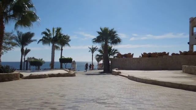 hilton sharks bay resort 4* От номера к пляжу смотреть онлайн