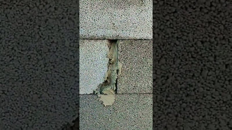 Штукатур VS Каменщика #construction #diy #стройка