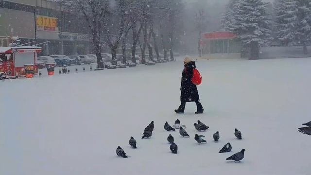 Снежный Ессентуки 17.02.21 смотреть онлайн