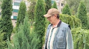 Можжевельник (Все о можжевельниках)