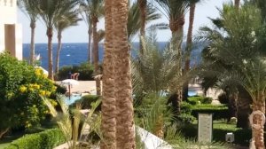 Sharm El Sheikh- Отель Рихана 5*