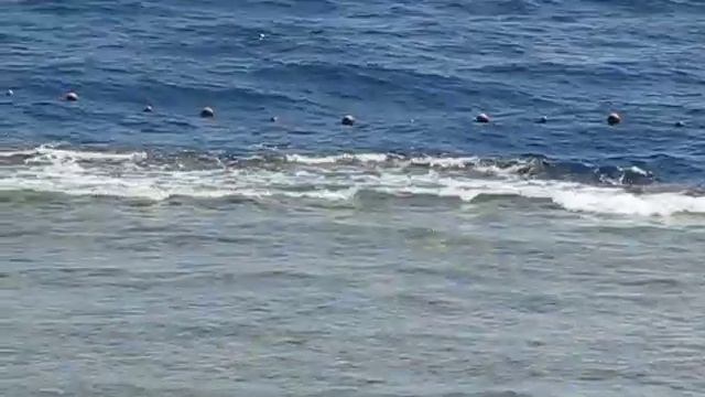 Safir Waterfalls resort Sharm hotel beach & sea! Пляж и море отеля Сафир Вотерфалс Шарм резорт 5*! смотреть онлайн