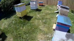 Начинаем осваивать пчеловодство! Пасека у Михалыча!