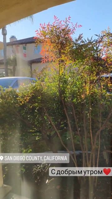 Доброе утро в Сан Диего❤ #путешествие #сандиего #соединенныештатыамерики смотреть онлайн
