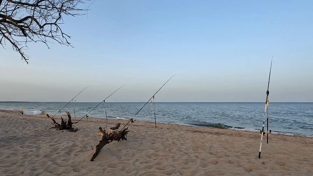 3 рыбалки 2 пиленгаса. Бердянск Азовское море 21, 23 и 24 июня 2024 смотреть онлайн