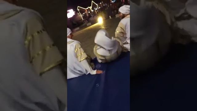 Сочи парк смотреть онлайн