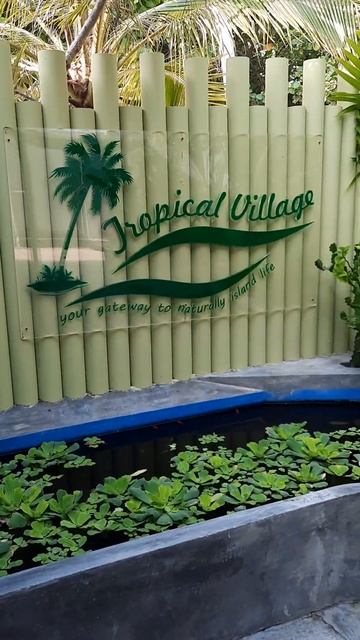 Maldives Fehendoo Tropical village Мальдивы остров Фехенду, отель Тропикал вилладж 2023 смотреть онлайн