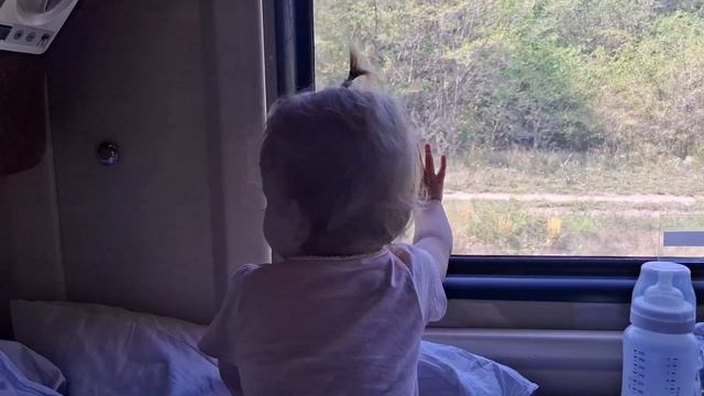 В поезде с маленьким ребёнком 1.5 суток🤪 На море с ребёнком💞Поезд Брянск-Анапа🚆 смотреть онлайн