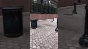 ГРУЗИНЫ КОТОРЫЕ ЖИВУТ В США ПОДДЕРЖИВАЮТ СААКАШВИЛИ И РОДИНУ