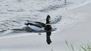 В конце сезона