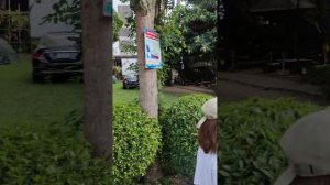 Тайланд, Паттайя, 2024 год, январь отель Natural Park Resort, о деньгах