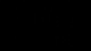 The Battle Cats  Summer Diary