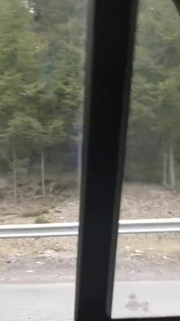 Дорога домой Финляндия - Питер смотреть онлайн