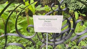 Экскурсия по Гурзуфскому парку / Санаторий «Гурзуфский»