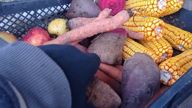 Харчування кроликів,зимовий раціон,натуральні вітаміни смотреть онлайн