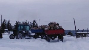 мтз 82 тянет две телеги дров