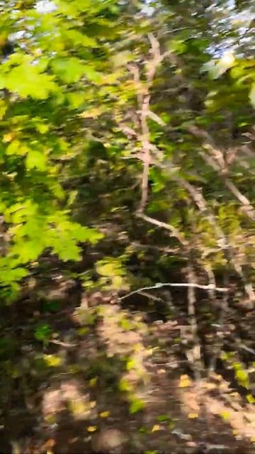 Знаеш ли ты это местечко? смотреть онлайн