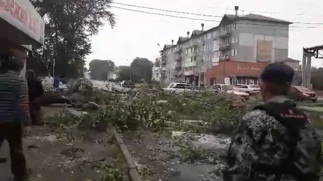 В Заозерной убирают тополь смотреть онлайн