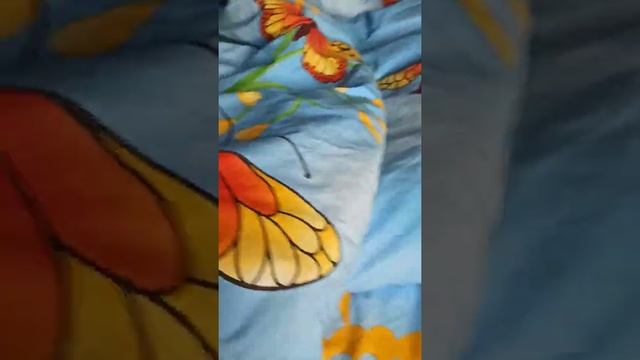 17 февраля 2022 г. смотреть онлайн