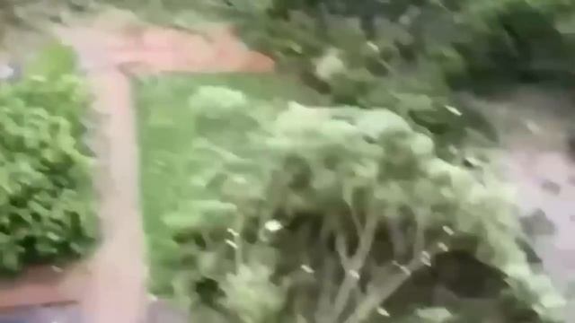 Питер и область • Ливень и ураган смотреть онлайн