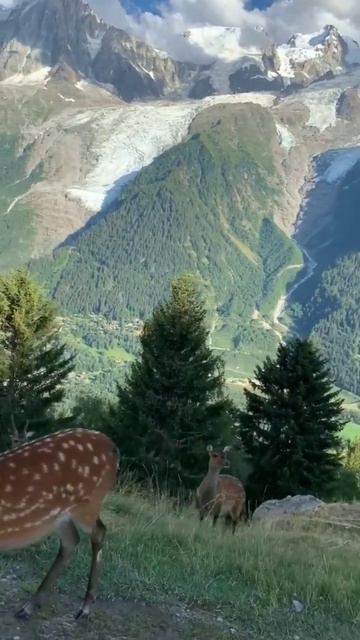 🇫🇷 Горнолыжный курорт Шамони, Франция смотреть онлайн