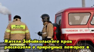 Жители Забайкальского края рассказали о природных пожарах в регионе